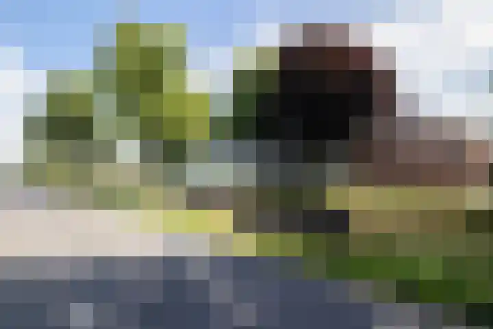 J. Kammingastraat 150 Wildervank thumbnail 39