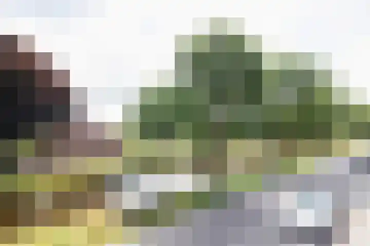 J. Kammingastraat 150 Wildervank thumbnail 41