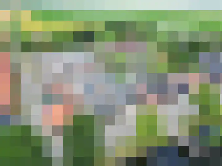 J. Kammingastraat 150 Wildervank thumbnail 43