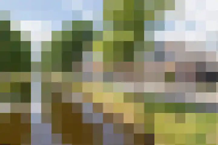 J. Kammingastraat 150 Wildervank thumbnail 5