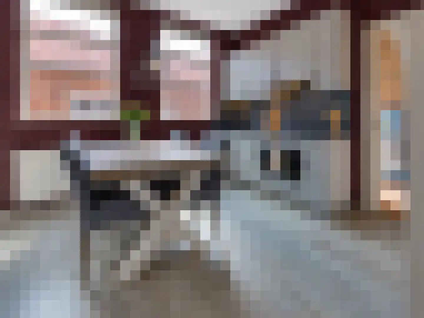 J. Kammingastraat 49 Wildervank thumbnail 6