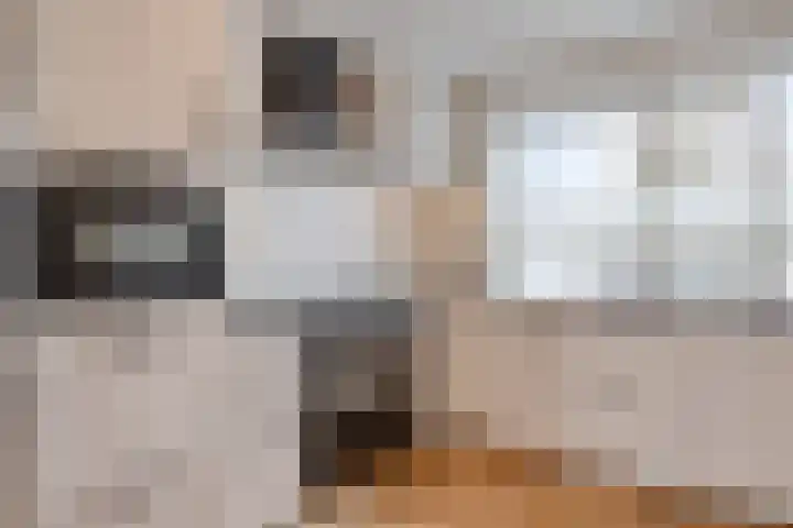 J. Kruijverstraat 111 Zaandam thumbnail 16