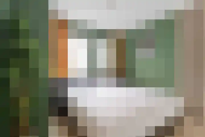 J. Kruijverstraat 111 Zaandam thumbnail 20