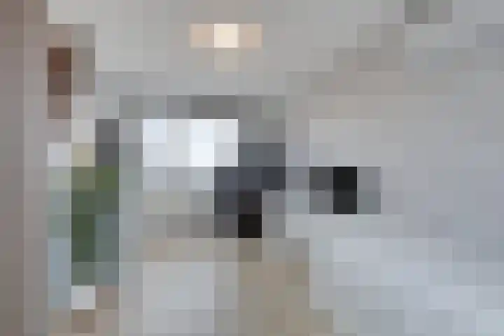 J. Kruijverstraat 111 Zaandam thumbnail 32