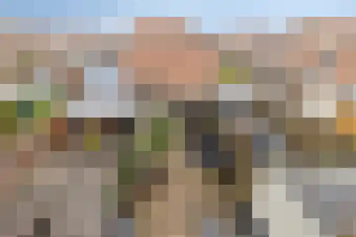 J. Kruijverstraat 111 Zaandam thumbnail 35