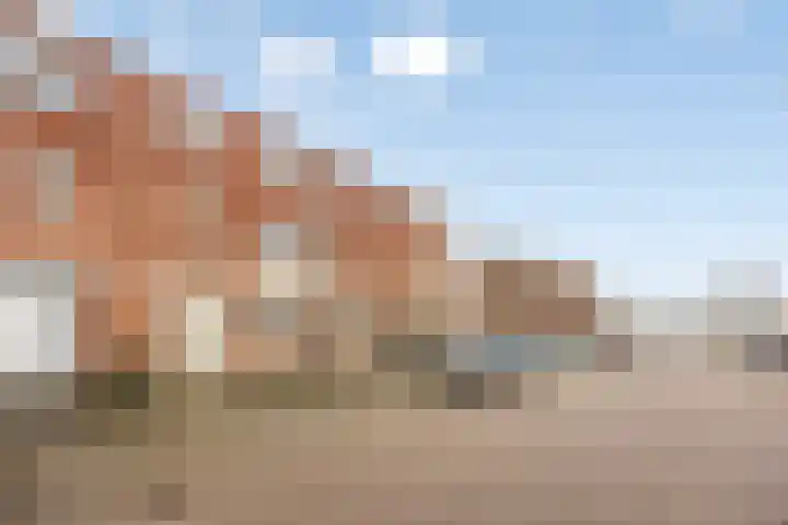 J. Kruijverstraat 81 Zaandam thumbnail 5