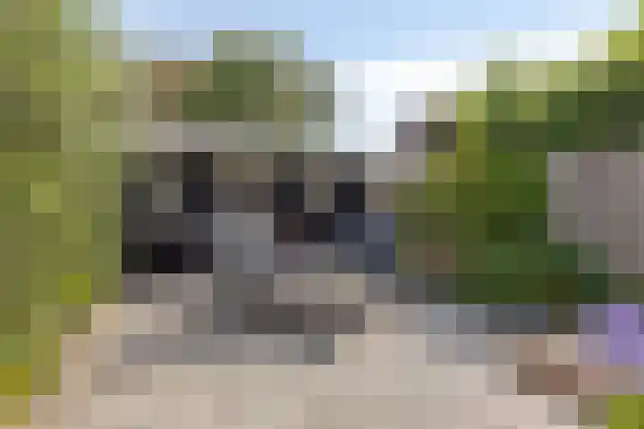 J. Kruijverstraat 99 Zaandam thumbnail 4