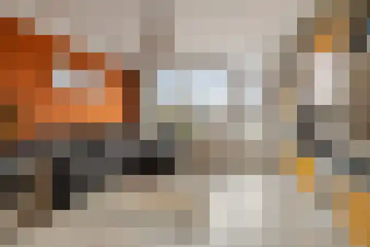 J. Kruiswijkhof 1 Amsterdam thumbnail 14