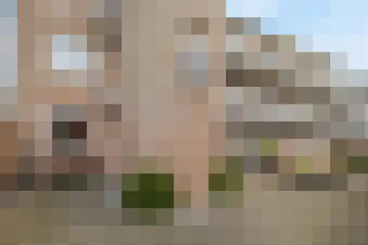 J. Kruiswijkhof 1 Amsterdam thumbnail 16