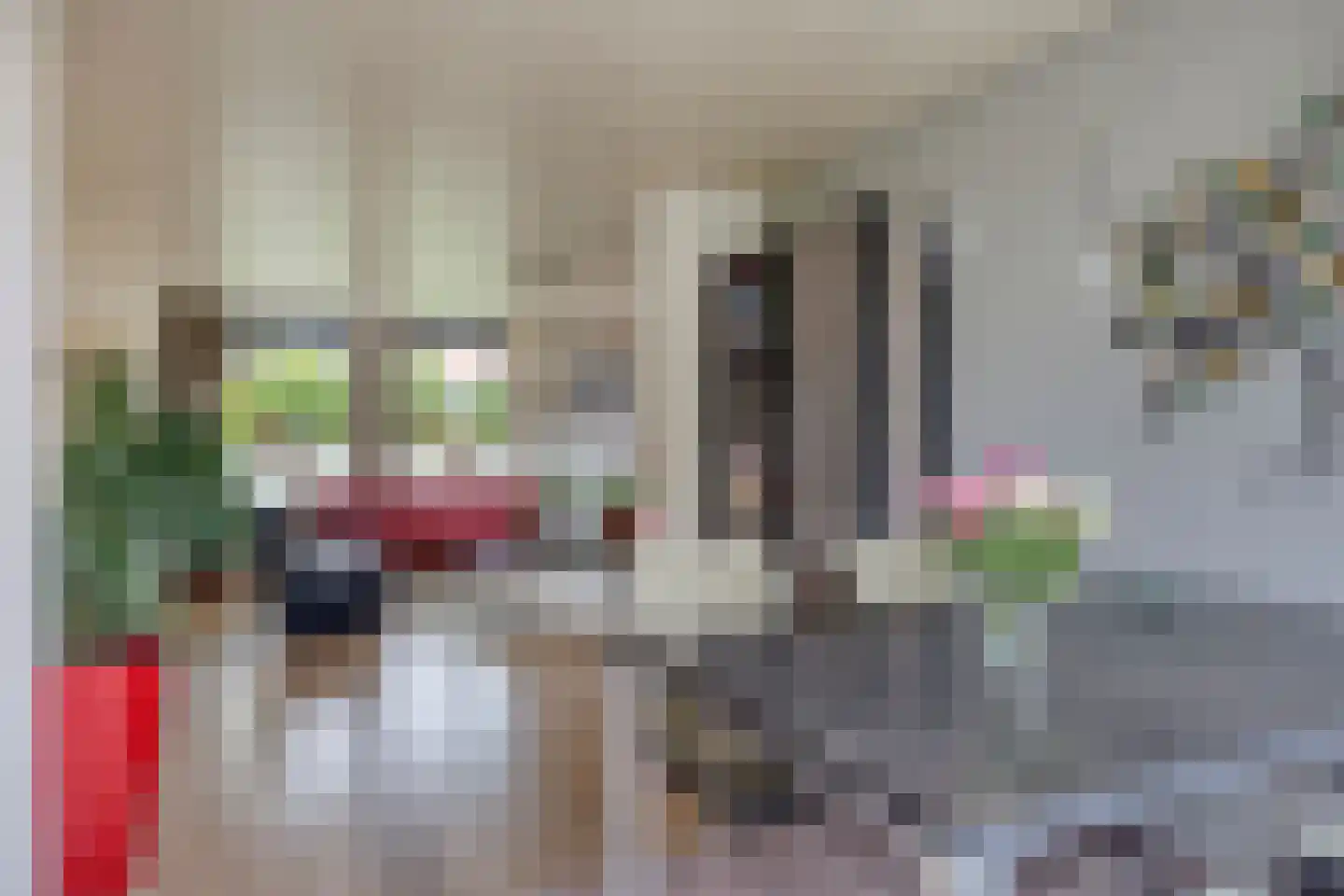 J.L.Brooijmansdreef 7 Steenbergen thumbnail 11