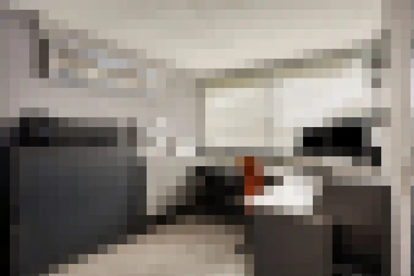 J.L.Brooijmansdreef 7 Steenbergen thumbnail 20