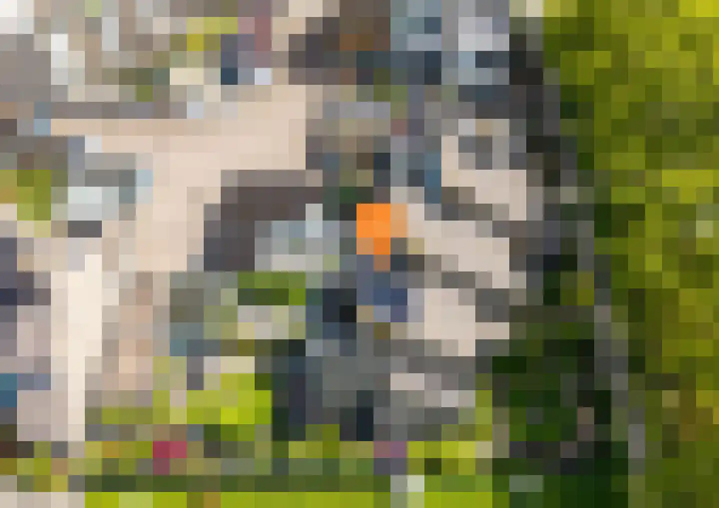 J.L.Brooijmansdreef 7 Steenbergen thumbnail 34