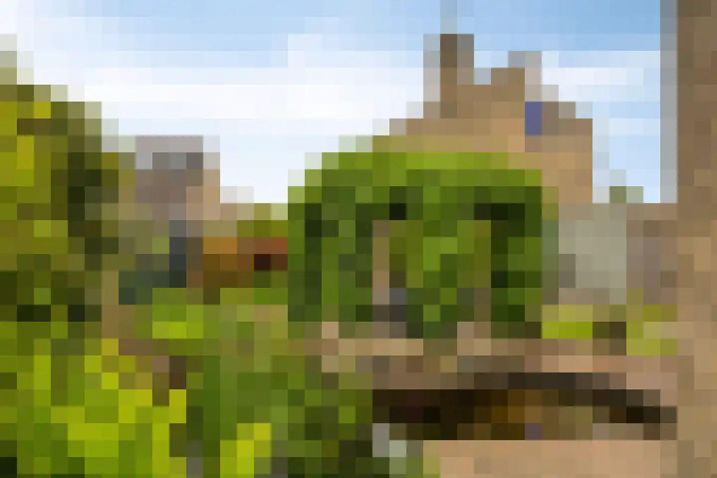 J.L.Brooijmansdreef 7 Steenbergen thumbnail 38