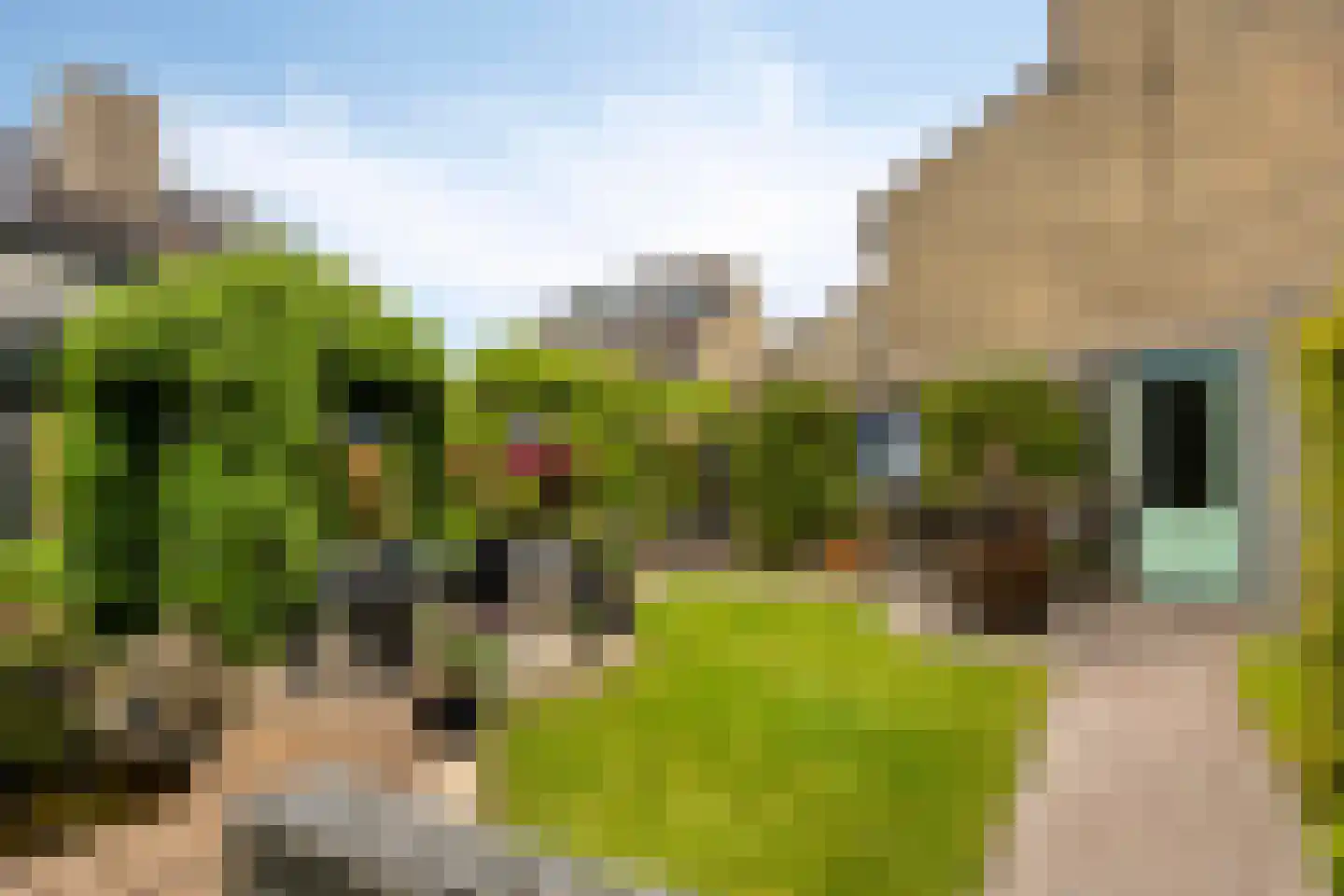 J.L.Brooijmansdreef 7 Steenbergen thumbnail 5