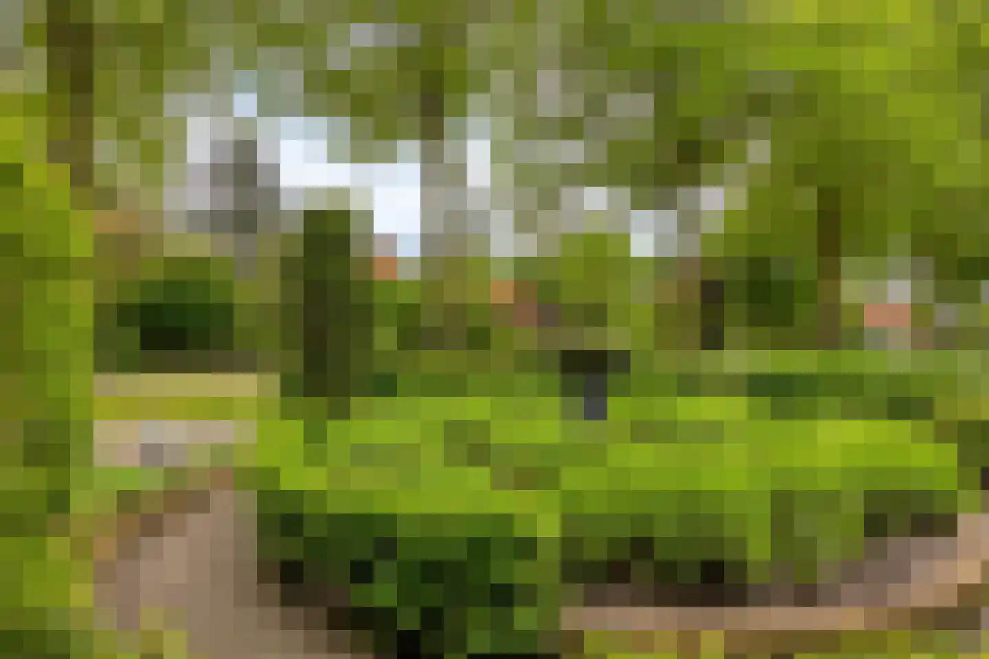 J.L.Brooijmansdreef 7 Steenbergen thumbnail 6