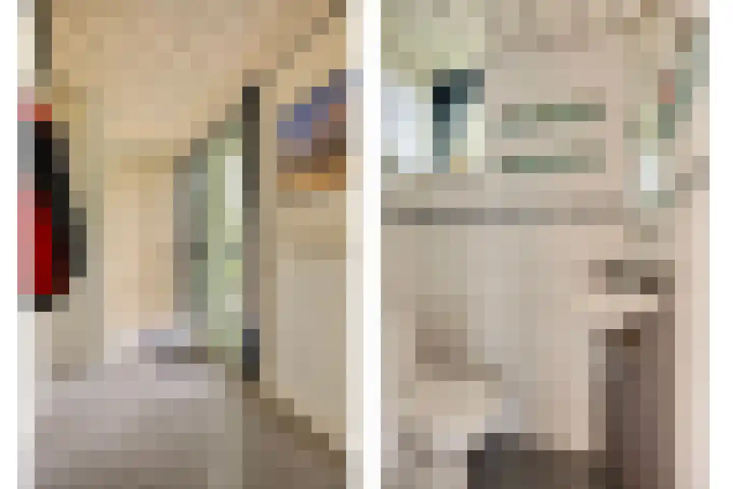 J.L.Brooijmansdreef 7 Steenbergen thumbnail 7