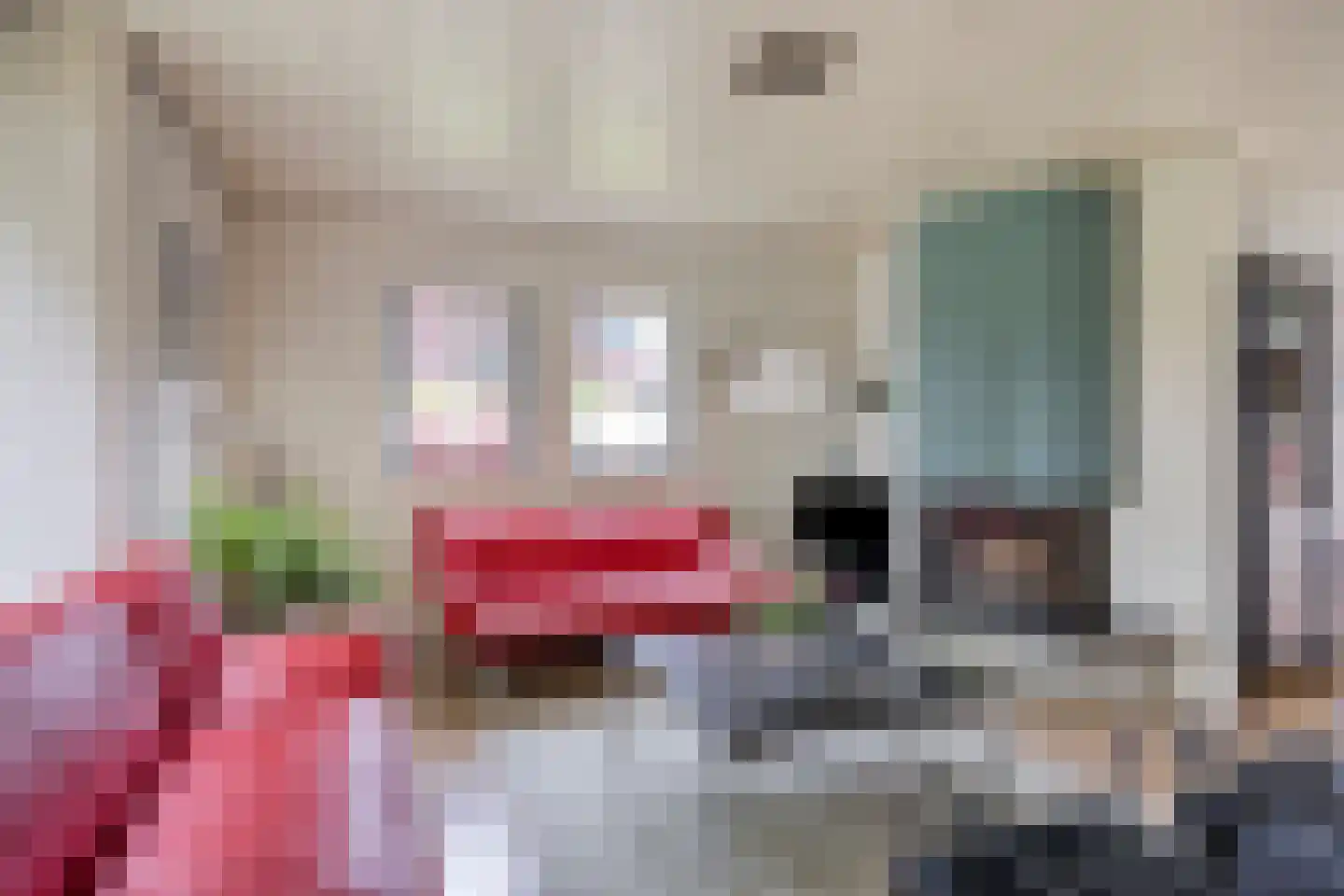 J.L.Brooijmansdreef 7 Steenbergen thumbnail 8