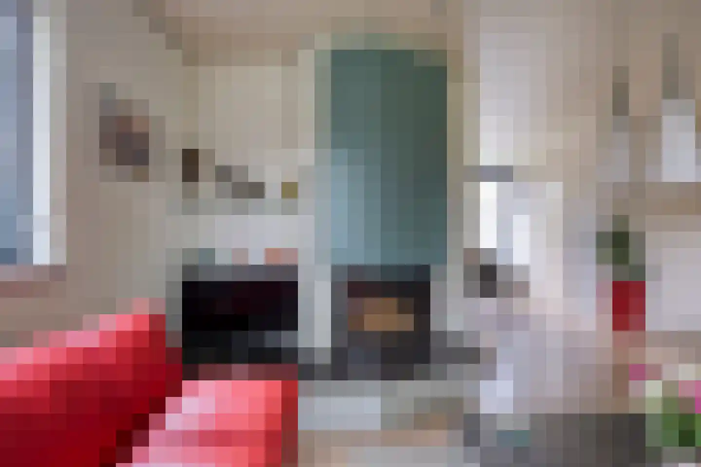 J.L.Brooijmansdreef 7 Steenbergen thumbnail 9