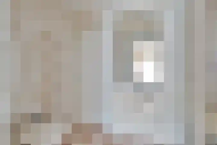 J.L.Dinklahof 1 Dwingeloo thumbnail 11