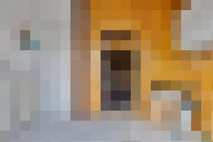 J.L.Dinklahof 1 Dwingeloo thumbnail 14