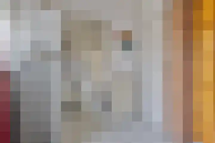 J.L.Dinklahof 1 Dwingeloo thumbnail 15