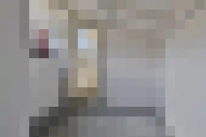 J.L.Dinklahof 1 Dwingeloo thumbnail 18