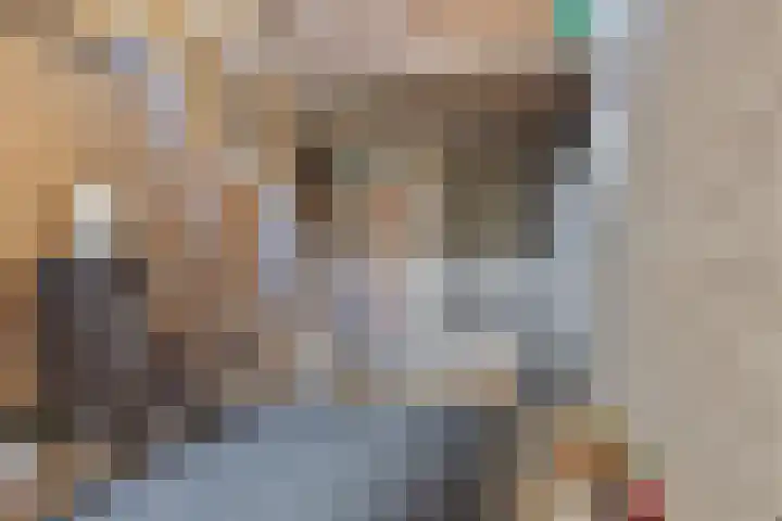 J.L.Dinklahof 1 Dwingeloo thumbnail 19