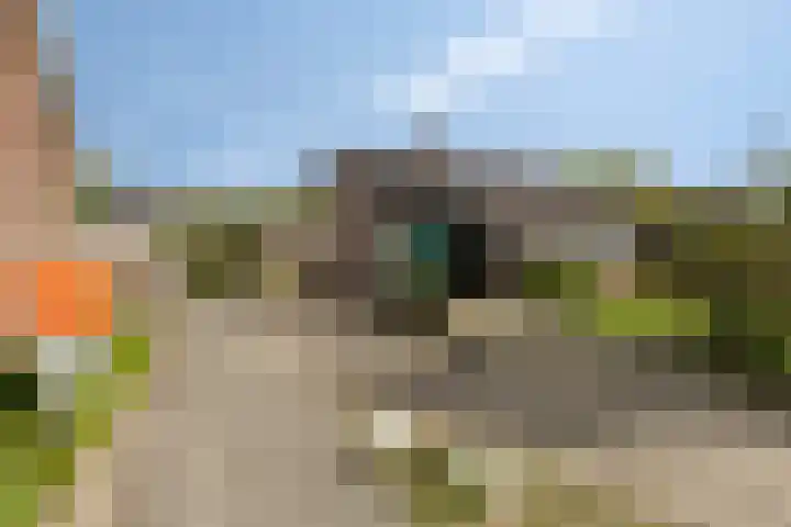 J.L.Dinklahof 1 Dwingeloo thumbnail 22