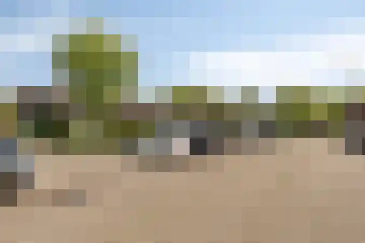 J.L.Dinklahof 1 Dwingeloo thumbnail 23