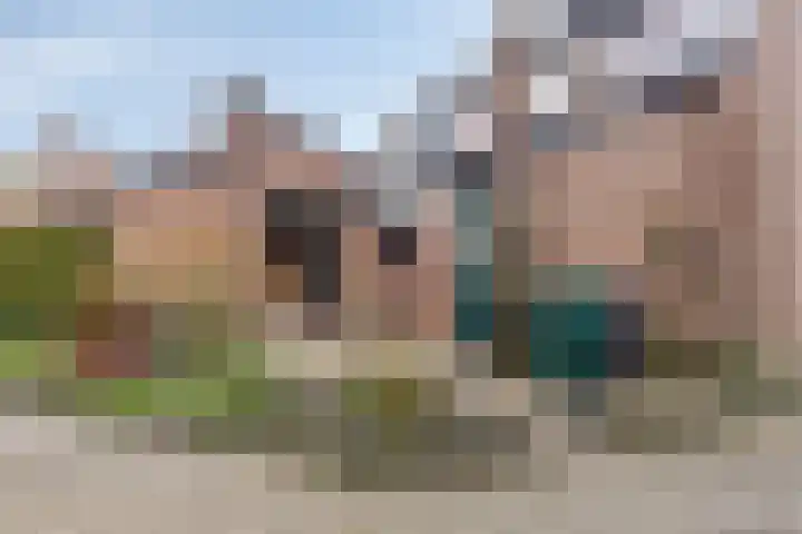 J.L.Dinklahof 1 Dwingeloo thumbnail 26