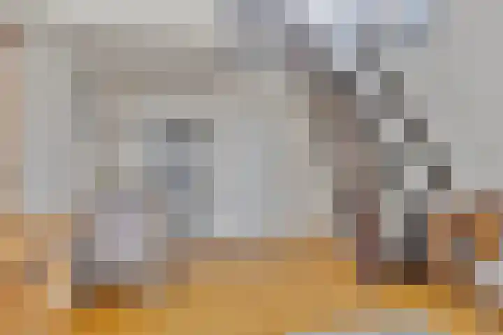 J.L.Dinklahof 1 Dwingeloo thumbnail 5