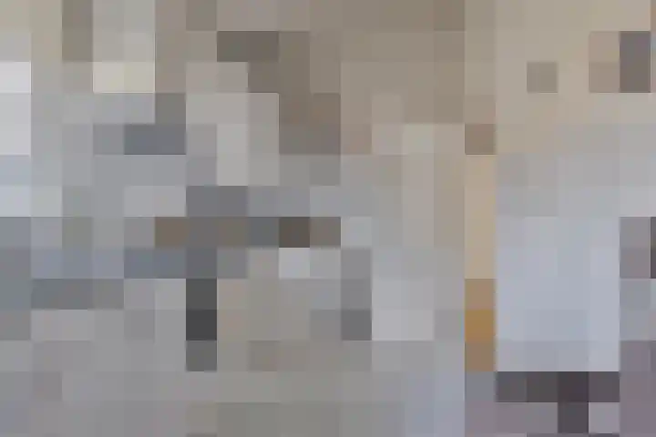 J.L.Dinklahof 1 Dwingeloo thumbnail 6