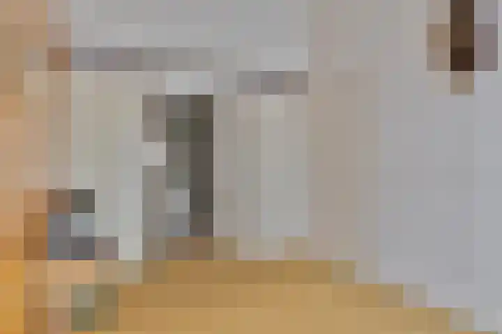 J.L.Dinklahof 1 Dwingeloo thumbnail 9