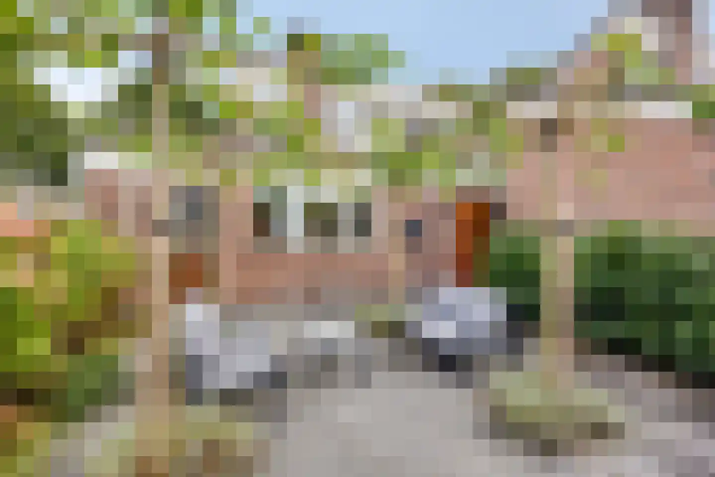 J.L.Dinklahof 13 Dwingeloo thumbnail 10