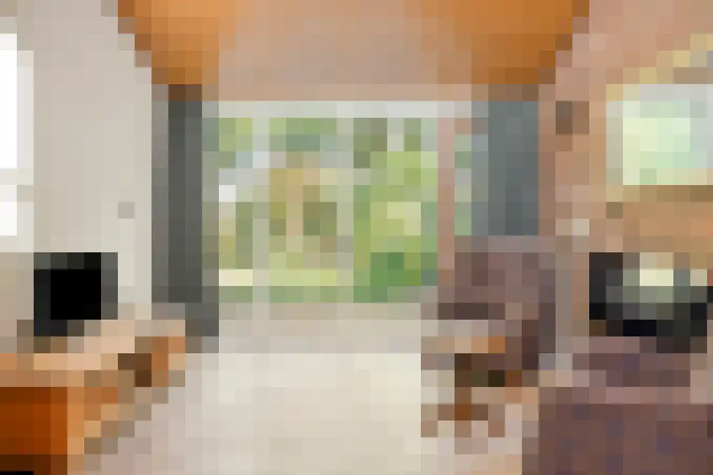 J.L.Dinklahof 13 Dwingeloo thumbnail 16