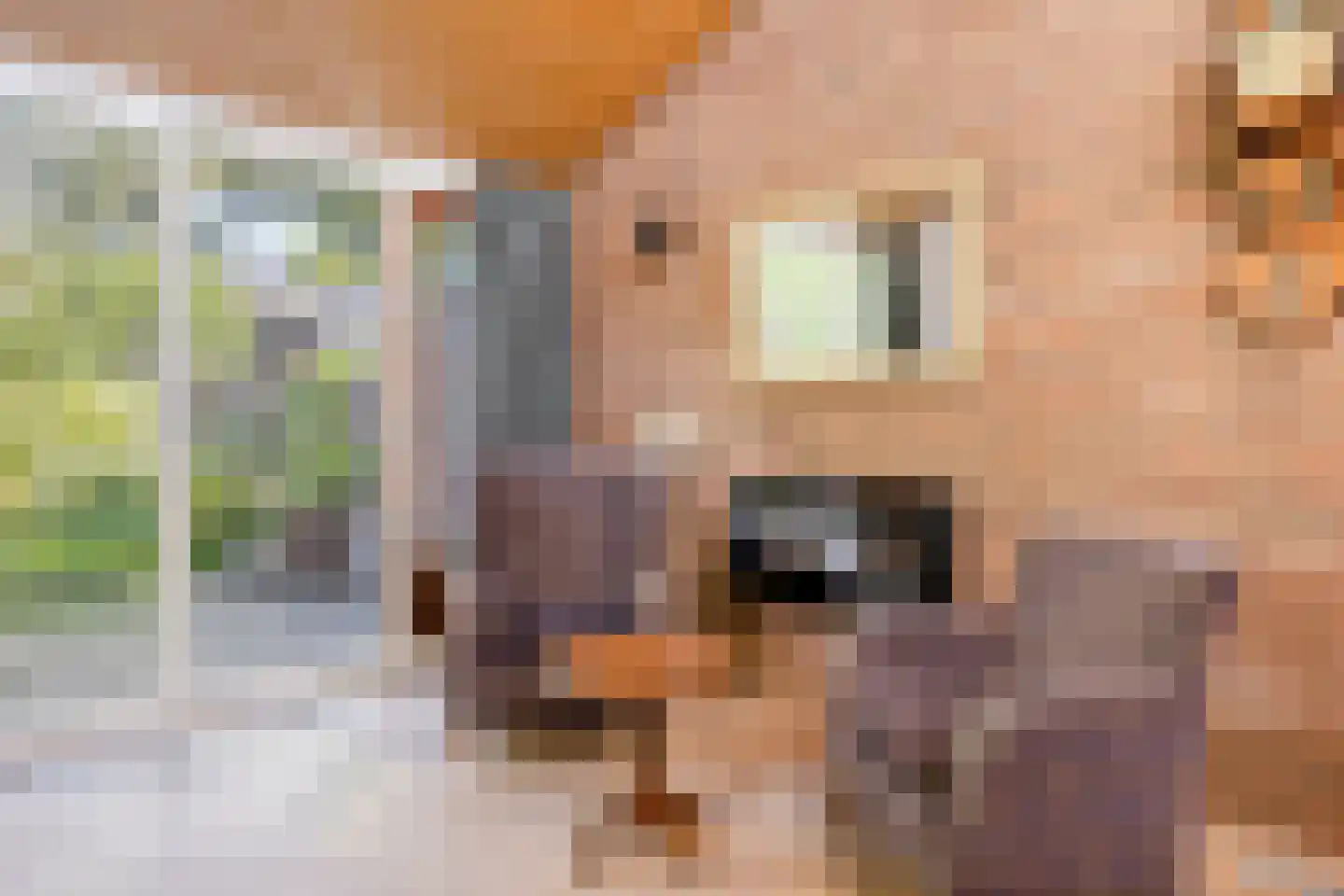 J.L.Dinklahof 13 Dwingeloo thumbnail 17