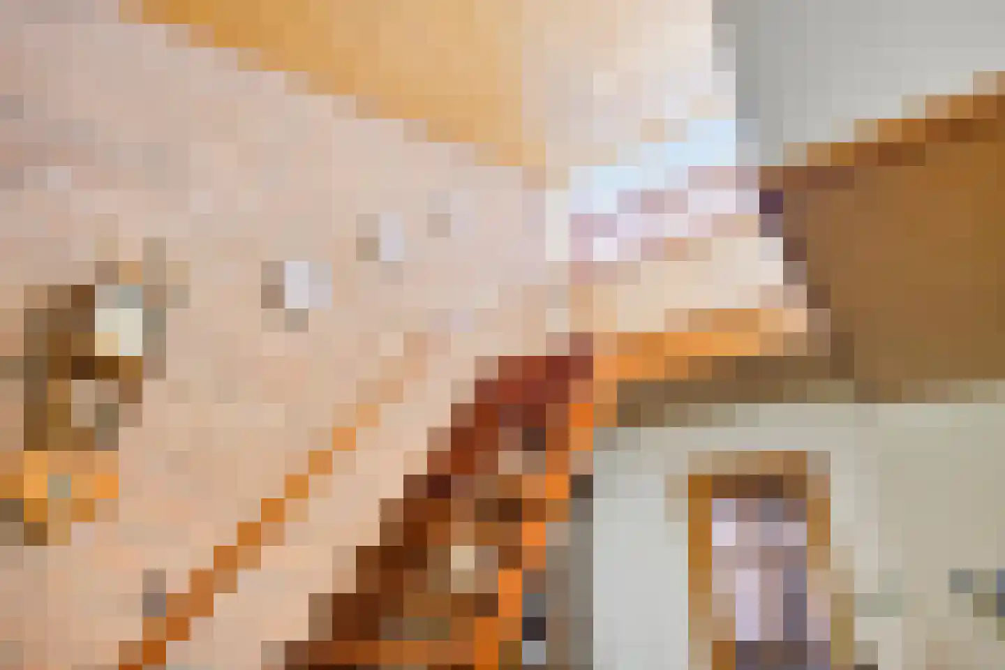 J.L.Dinklahof 13 Dwingeloo thumbnail 20
