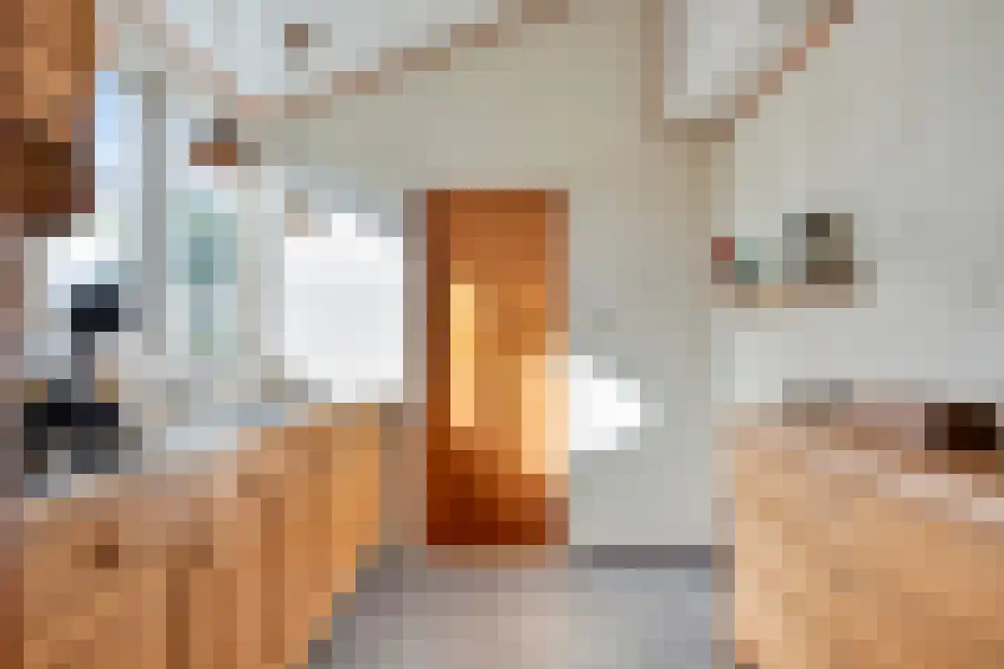J.L.Dinklahof 13 Dwingeloo thumbnail 28