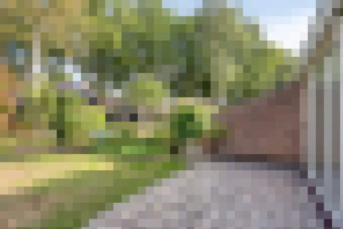 J.L.Dinklahof 13 Dwingeloo thumbnail 33