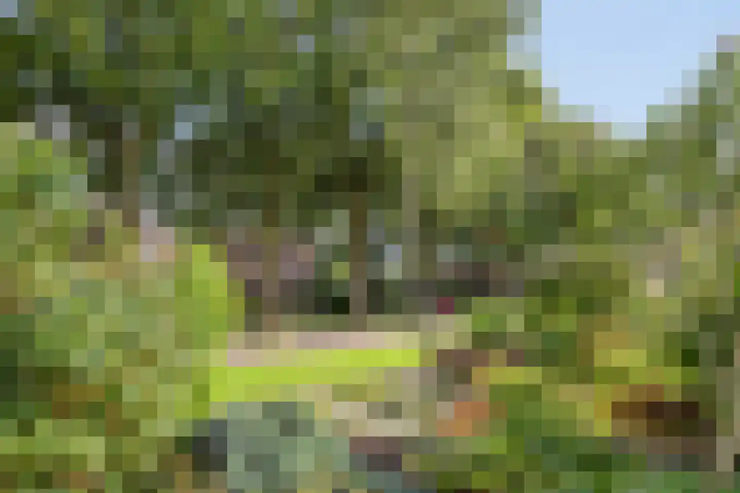 J.L.Dinklahof 13 Dwingeloo thumbnail 35