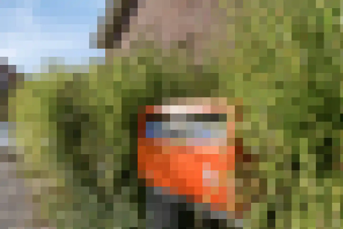 J.L.Dinklahof 13 Dwingeloo thumbnail 42
