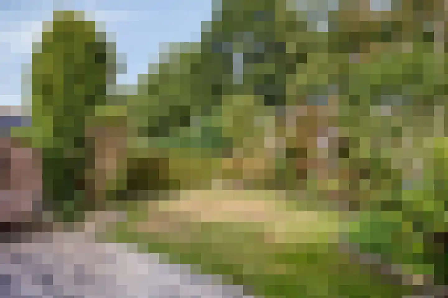 J.L.Dinklahof 13 Dwingeloo thumbnail 7