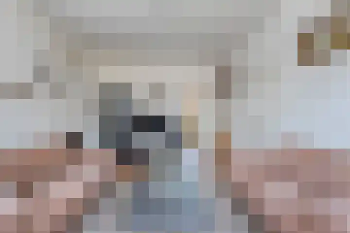 J.L. Nijsinghweg 4 de Wijk thumbnail 10