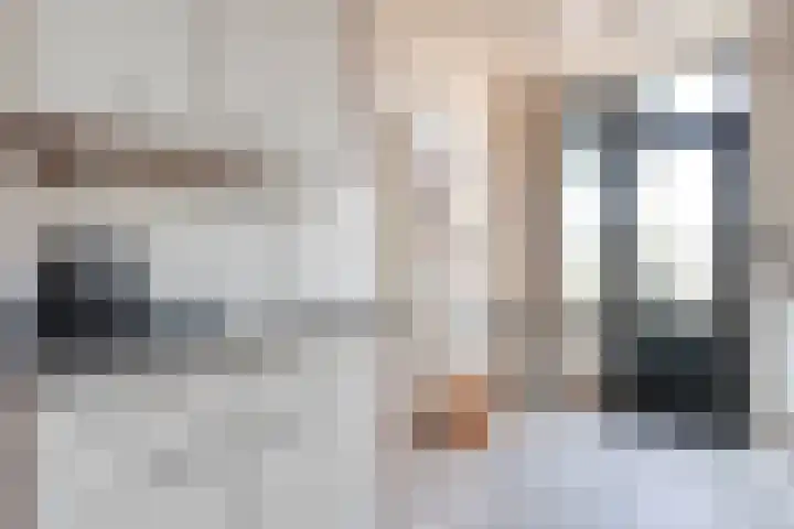 J.L. Nijsinghweg 4 de Wijk thumbnail 16