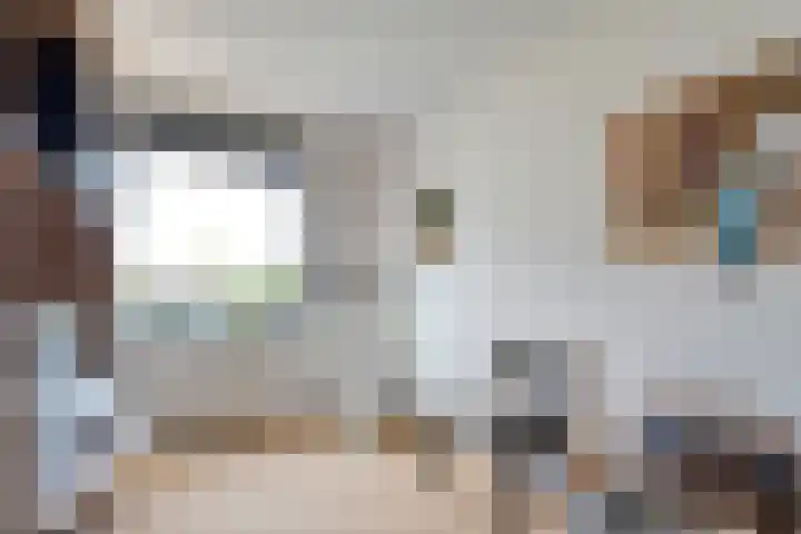 J.L. Nijsinghweg 4 de Wijk thumbnail 25
