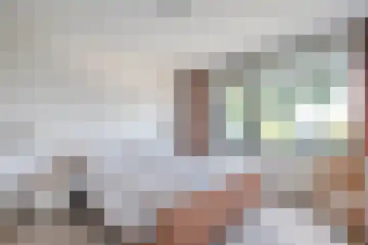 J.L. Nijsinghweg 4 de Wijk thumbnail 27