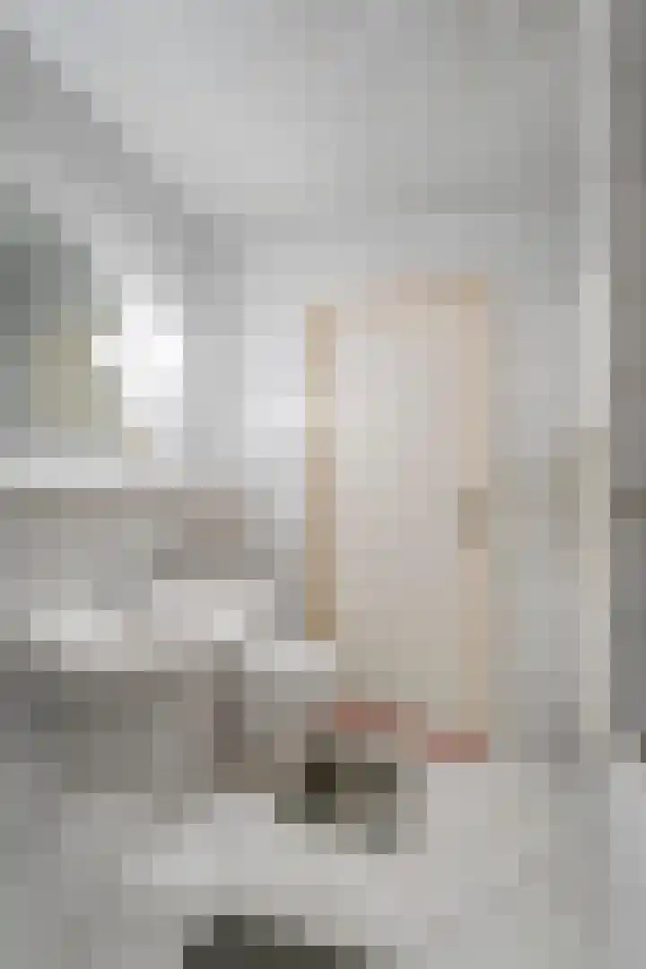 J.L. Nijsinghweg 4 de Wijk thumbnail 30