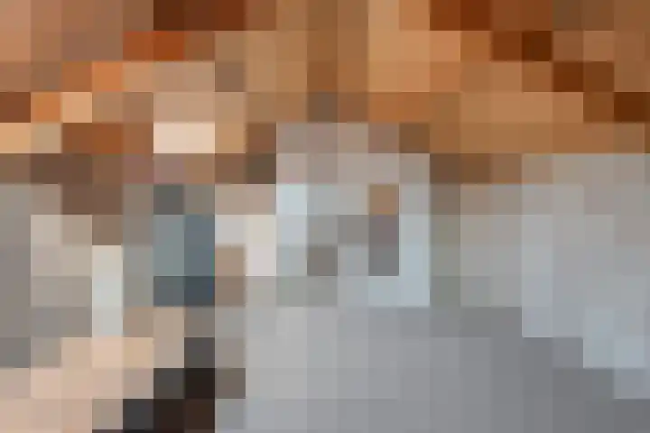 J.L. Nijsinghweg 4 de Wijk thumbnail 32