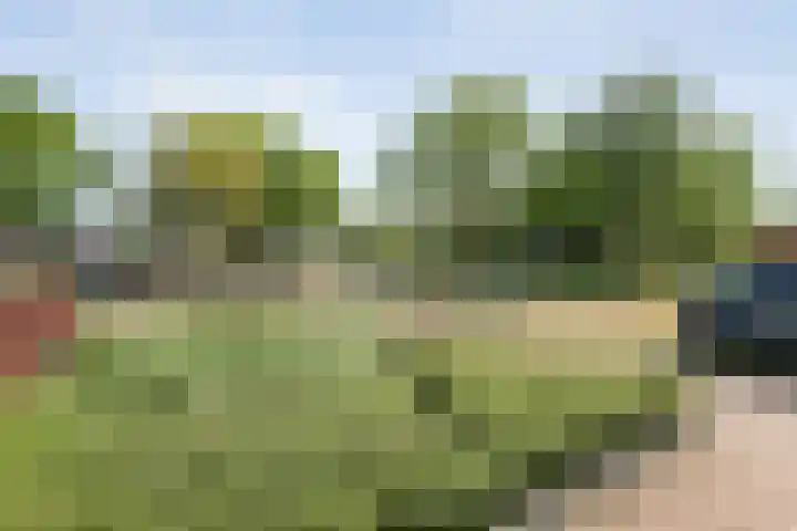 J.L. Nijsinghweg 4 de Wijk thumbnail 33