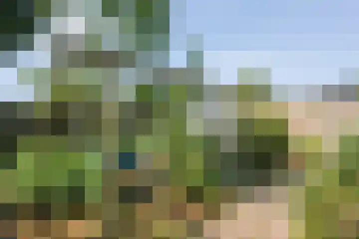 J.L. Nijsinghweg 4 de Wijk thumbnail 35